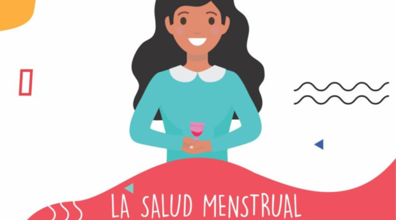 El proceso de la menstruación